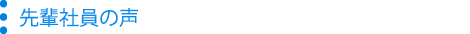 先輩社員の声