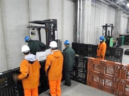 研修のイメージ