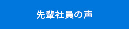 先輩社員の声